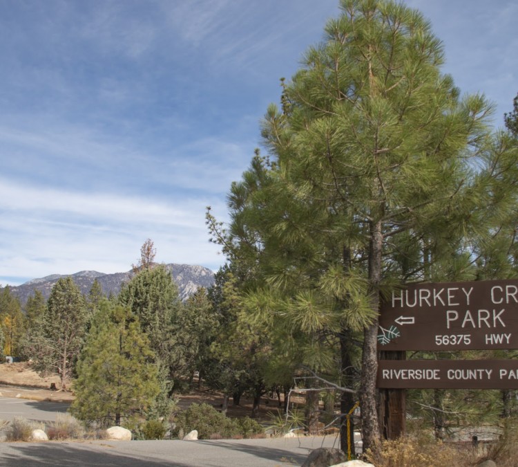 Hurkey Creek Park (Mountain&nbspCenter,&nbspCA)
